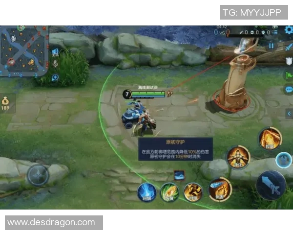 王者荣耀评论：探讨FPX在区域防守中的优劣表现与战术调整